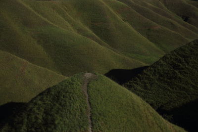 High angle view of farm