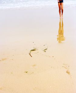 Low section of person standing on beach