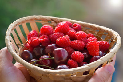 Fresh berries in hands