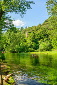 Scenic view of lake against trees in forest