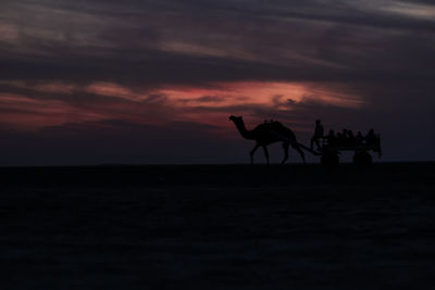 Silhouette people riding on beach against sky during sunset