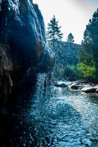 Water flowing through rocks in forest against sky