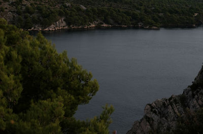 High angle view of river amidst trees