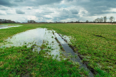 Flooded meadow with water and clouds on the sky