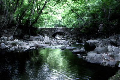 Arch bridge over river stream in forest