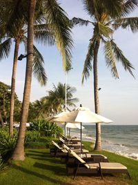 Lounge chairs and palm trees on beach against sky