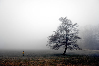 Tree on field against sky during foggy weather