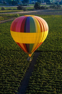 Multi colored hot air balloon on field