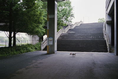 View of tunnel with trees in background