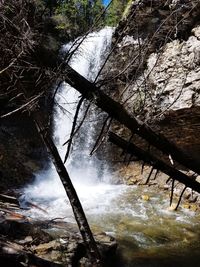 River flowing through rocks in forest