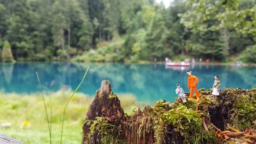 Figurines against the lake