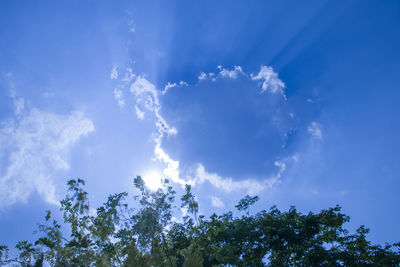 Low angle view of trees against blue sky