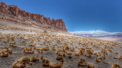 View of desert against clear sky