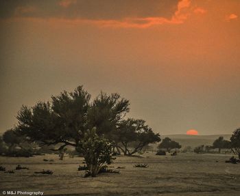 Scenic view of landscape against sky at sunset