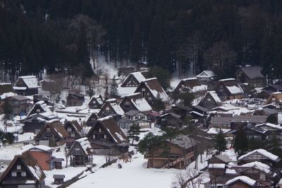 Snow covered houses and trees in city