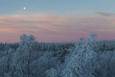 Scenic view of snow covered forest against cloudy sky