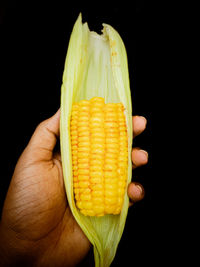 sweet corn