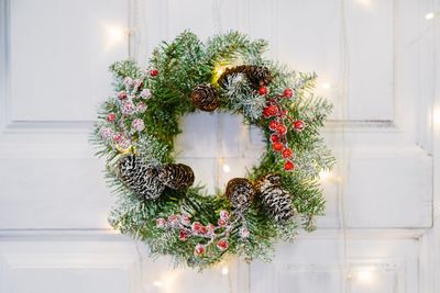 Potted plant on christmas tree