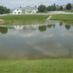 Reflection of buildings in water