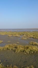 Scenic view of sea against clear sky