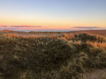 Scenic view of landscape at sunset