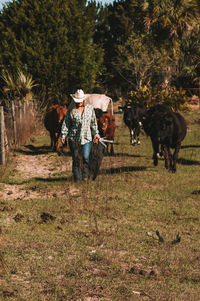 Horses on field against trees