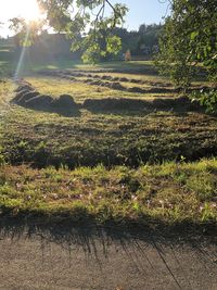 Scenic view of land against sky