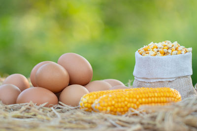 Close-up of eggs in container