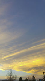Trees against sky during sunset