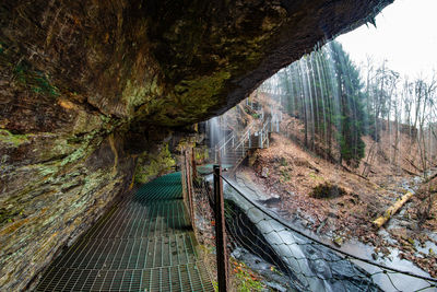 Scenic view of rock formation amidst trees