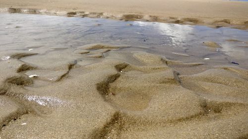 High angle view of wet shore