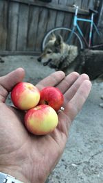 Cropped image of hand holding apple