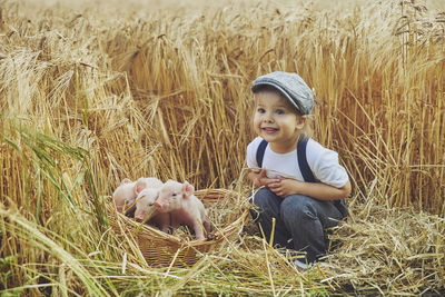 Adorable baby with newborn piglets in the field. retro photo.