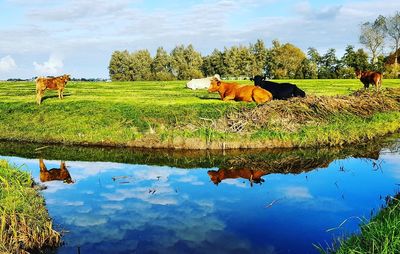 Scenic view of lake against sky