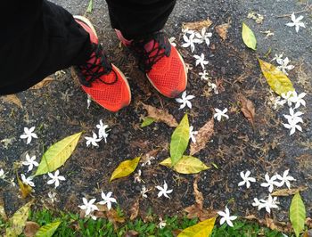 Low section of man with autumn leaves