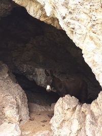 High angle view of cave on rock formation