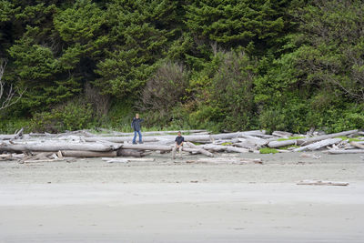 Father and son resting on driftwood at long beach