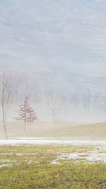 Scenic view of field against sky during winter