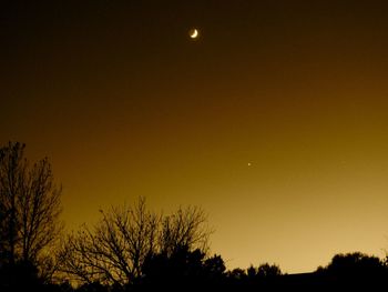 Low angle view of silhouette trees against sky at night