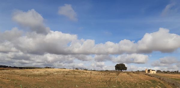 Panoramic view of landscape against sky