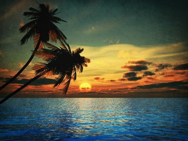 palm tree, sunset, sky, sea, tranquil scene, scenics, tranquility, water, beauty in nature, silhouette, horizon over water, nature, tree, cloud - sky, idyllic, cloud, waterfront, orange color, dramatic sky, beach