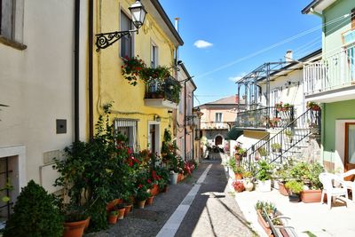 A narrow street among the old houses of greci, a village in the campania region, italy.