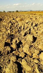 Scenic view of rural landscape