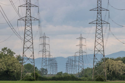 Power lines used to distribute electricity