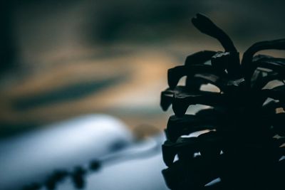 Close-up of silhouette metal on snow