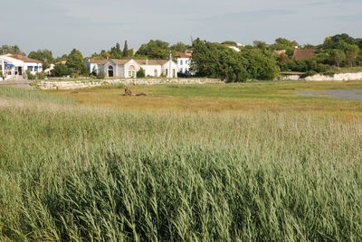 Gironde side in charentes, talmon