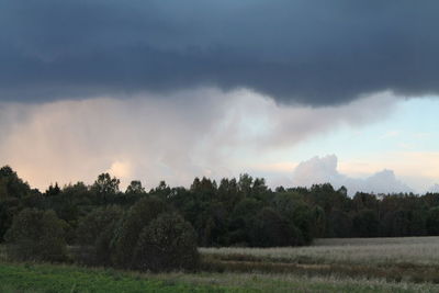 Panoramic view of trees on landscape against storm clouds