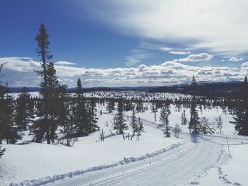 Scenic view of snow covered landscape