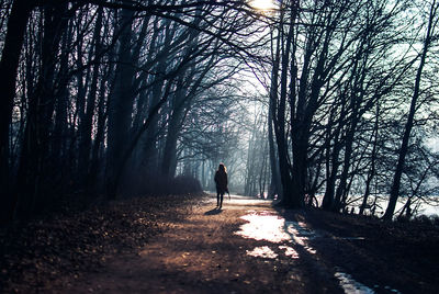 Silhouette of woman walking in the park