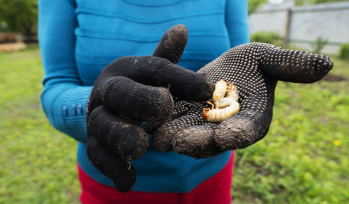 Senior caucasian woman shows hands dug out of the ground beetle larvae